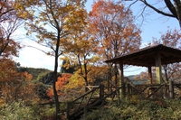 由利本荘市