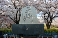 天童市