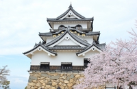 彦根城