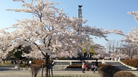 郡山市 開成山公園