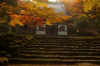 丹波市の高源寺
