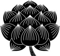 蓮の花